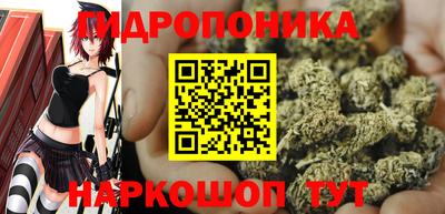 шишки Пушкино