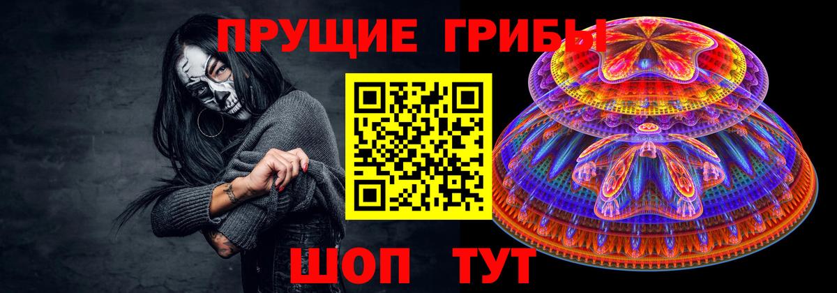 Псилоцибиновые грибы Psilocybe  Псилоцибиновые грибы Psilocybe  Севастополь  Вход с VPN 